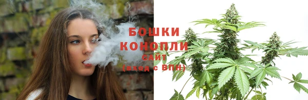 меф Ельня