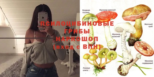 mix Заводоуковск