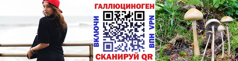 Псилоцибиновые грибы Magic Shrooms Купить Кремёнки